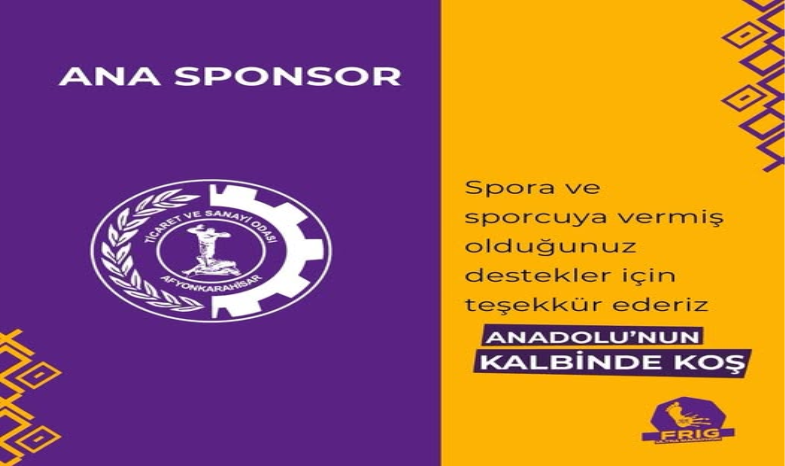 ANA SPONSOR